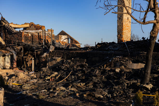 Reliable Content Restoration contractor in Leesburg, FL by Fire Damage Doption